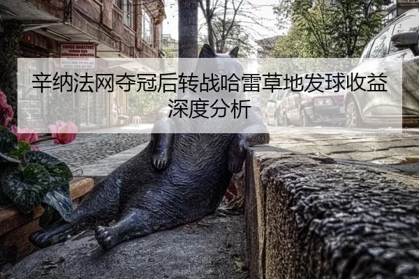辛纳法网夺冠后转战哈雷草地发球收益深度分析